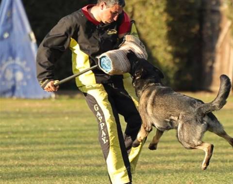 "Stimolazione e Prova di Morso"